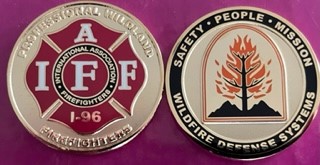 Local I-96/WDS Challenge Coin